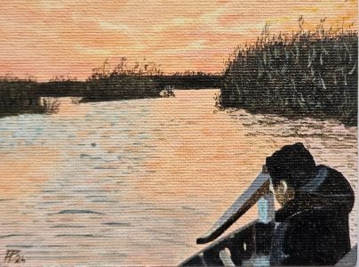 Albufera 49